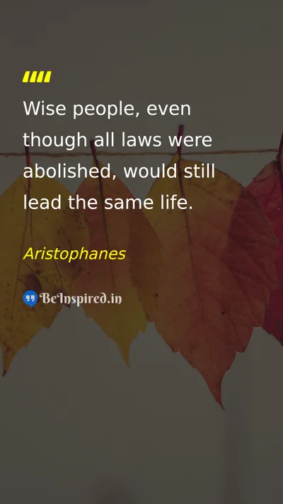 Aristophanes Picture Quote on wisdom discipline life 
