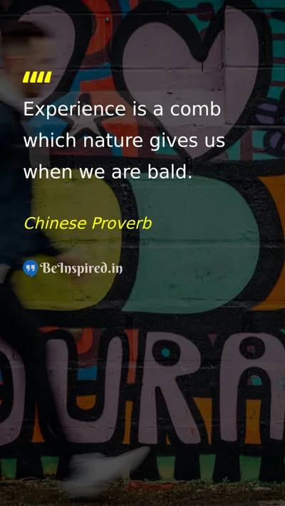 Chinese Proverb Picture Quote on experience wisdom life 