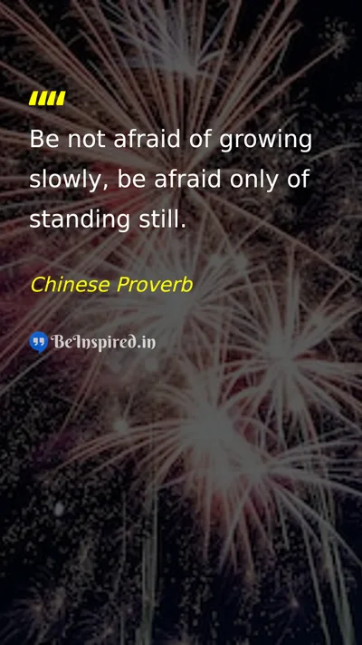 Chinese Proverb Picture Quote on motivational discipline wisdom 