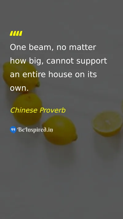 Chinese Proverb Picture Quote on life teamwork support 
