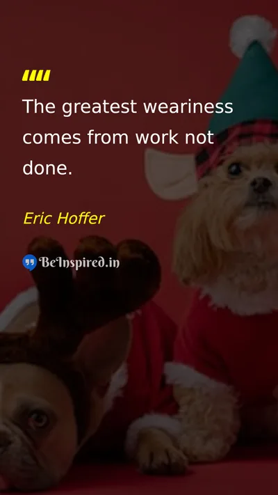 Eric Hoffer Picture Quote on work discipline effort 