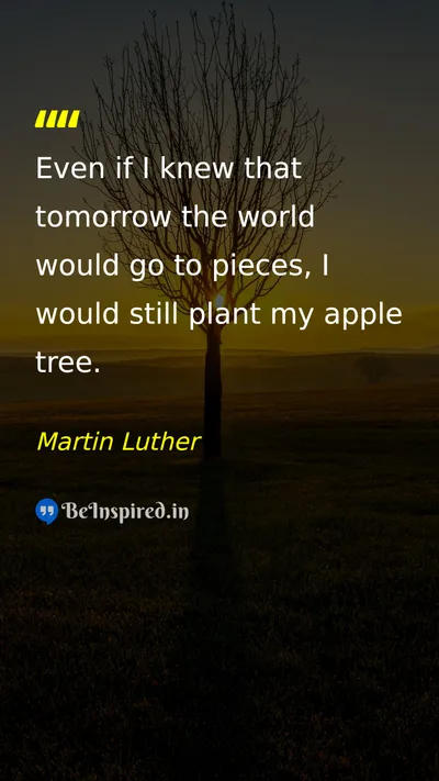 Martin Luther Picture Quote on hope action perseverance future 