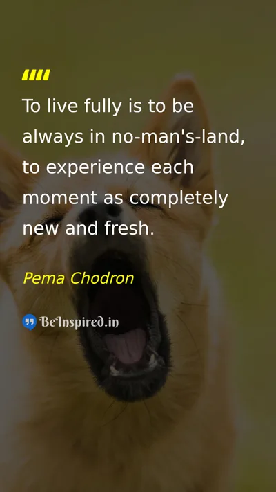 Pema Chodron Picture Quote on life mind experience 