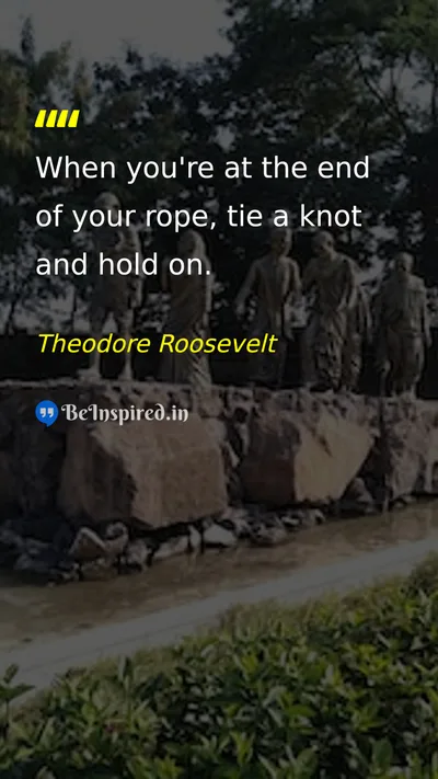 Theodore Roosevelt Picture Quote on hope courage perseverance 