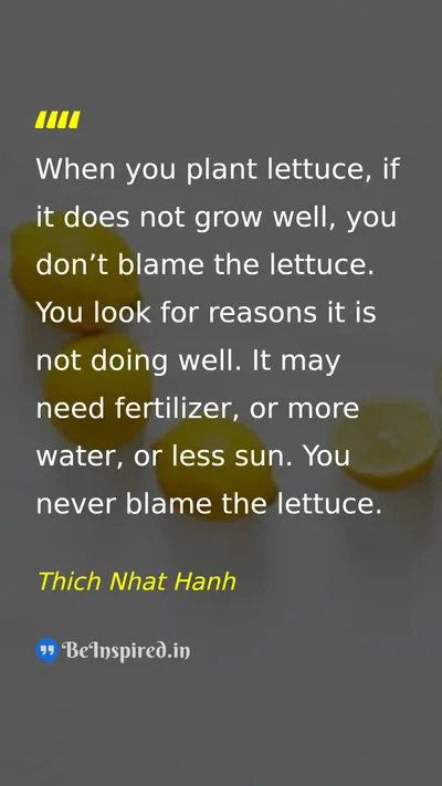 Thich Nhat Hanh Picture Quote on perspective understanding problem-solving life 