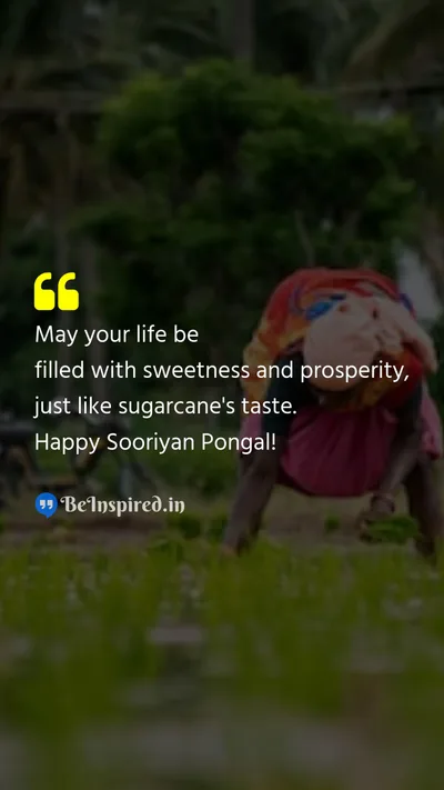 Pongal Wishes Quote related to 