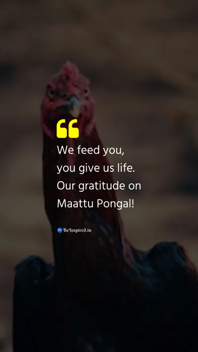 Pongal Wishes Quote related to 