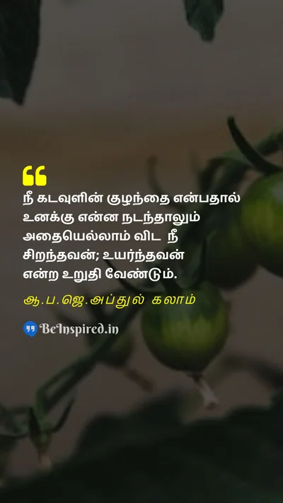 A. P. J. Abdul Kalam Tamil Picture Quote on self confidenceதன்னம்பிக்கை godகடவுள் superiorityமேன்மை 