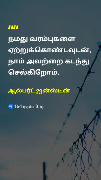 Albert Einstein Tamil Picture Quote on limitவரம்பு 