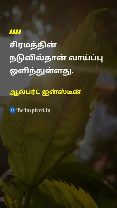 Albert Einstein Tamil Picture Quote on difficultyசிரமம் opportunityவாய்ப்பு mindsetமனநிலை positive-thinkingநேர்மறை சிந்தனை 