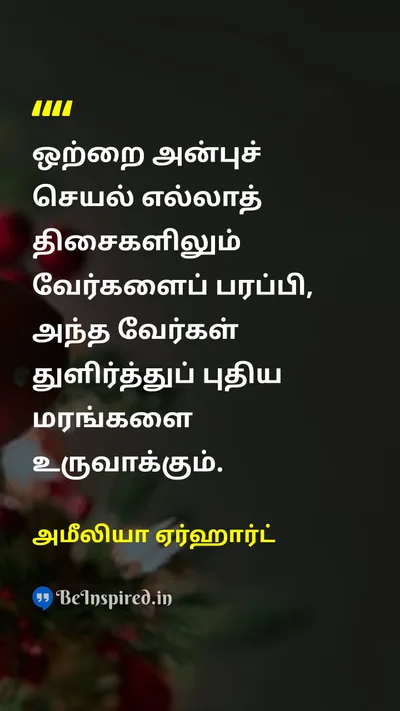 அமீலியா ஏர்ஹார்ட் Tamil Picture Quote on kindnessஅன்பு lifeவாழ்க்கை 