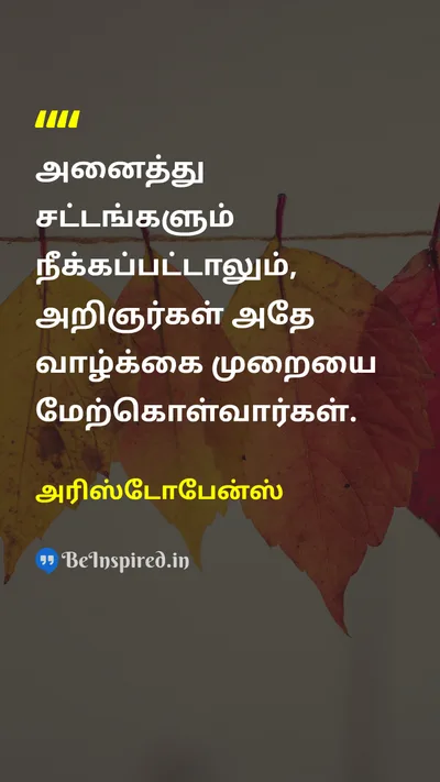 அரிஸ்டோபேன்ஸ் Tamil Picture Quote on wisdomஞானம் disciplineஒழுக்கம் lifeவாழ்க்கை 