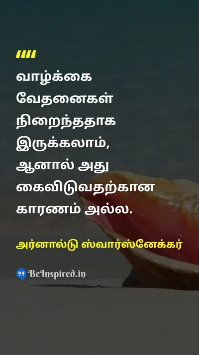 அர்னால்டு ஸ்வார்ஸ்னேக்கர் Tamil Picture Quote on lifeவாழ்க்கை courageதைரியம் hopeநம்பிக்கை disciplineஒழுக்கம் 