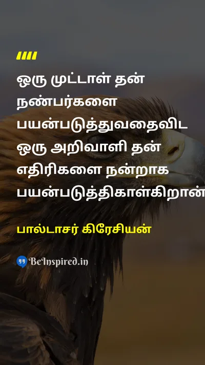 பால்டாசர் கிரேசியன் Tamil Picture Quote on foolமுட்டாள் wise-manபுத்திசாலி friendநண்பன் enemyஎதிரி 