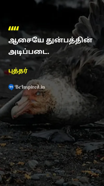 Buddha Tamil Picture Quote on 