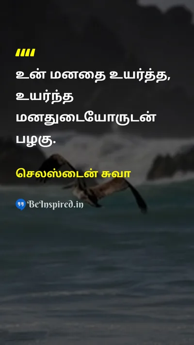 செலஸ்டைன் சுவா Tamil Picture Quote on self-improvementதன்னம்பிக்கை wisdomஞானம் growthவளர்ச்சி mindsetமனநிலை 