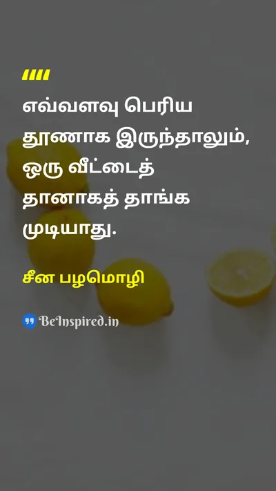 சீன பழமொழி Tamil Picture Quote on lifeவாழ்க்கை teamworkஅணிவேலை supportஆதரவு 