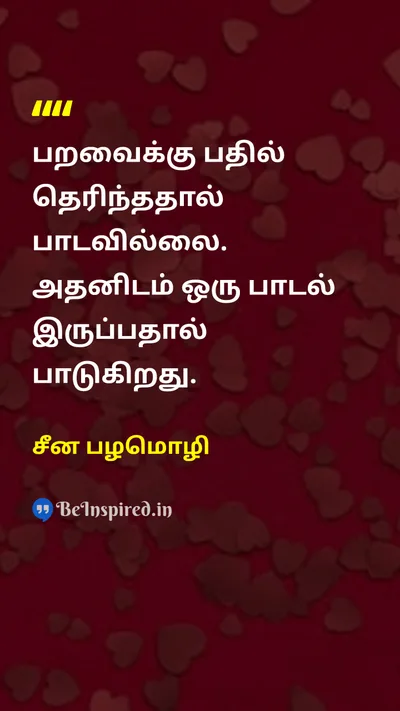 சீன பழமொழி Tamil Picture Quote on expressionவெளிப்பாடு purposeநோக்கம் lifeவாழ்க்கை 