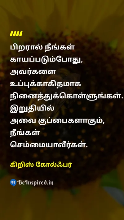 Chris Colfer Tamil Picture Quote on hurtகாயம் saltஉப்பு garbageகுப்பை purityதூய்மை 