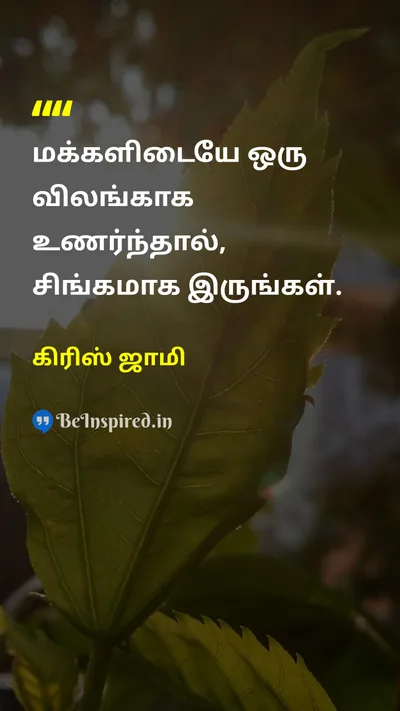 கிரிஸ் ஜாமி Tamil Picture Quote on courageதைரியம் self-confidenceதன்னம்பிக்கை 