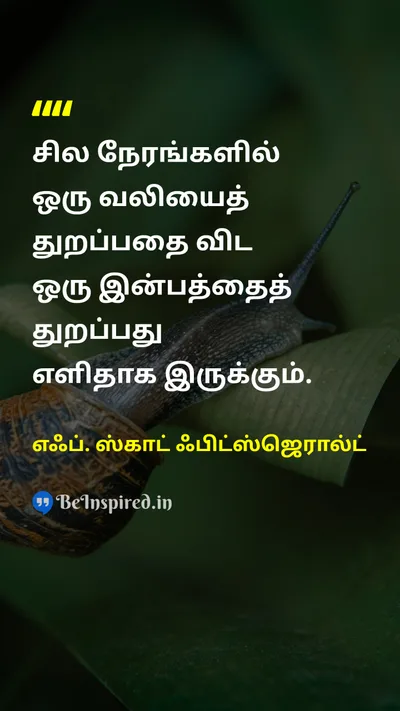 F. Scott Fitzgerald Tamil Picture Quote on painவலி pleasureமகிழ்ச்சி lifeவாழ்க்கை wisdomஞானம் 