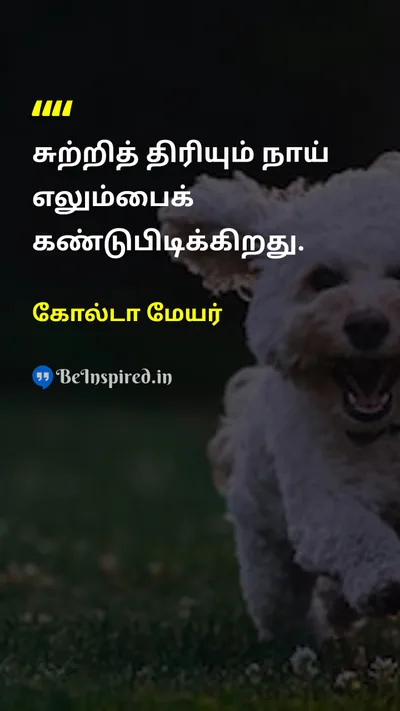கோல்டா மேயர் Tamil Picture Quote on dogநாய் motivationalதன்னம்பிக்கை 