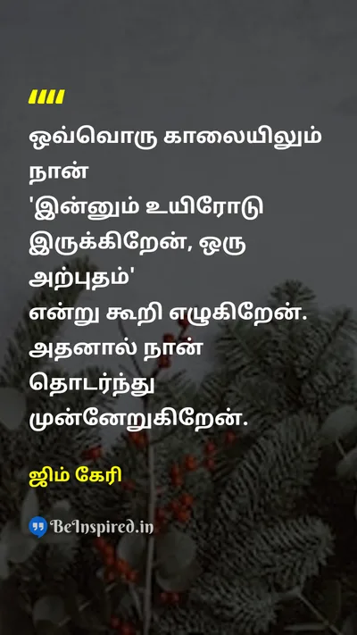 Jim Carrey Tamil Picture Quote on lifeவாழ்க்கை gratitudeநன்றியுணர்வு hopeநம்பிக்கை motivationஊக்கம் 