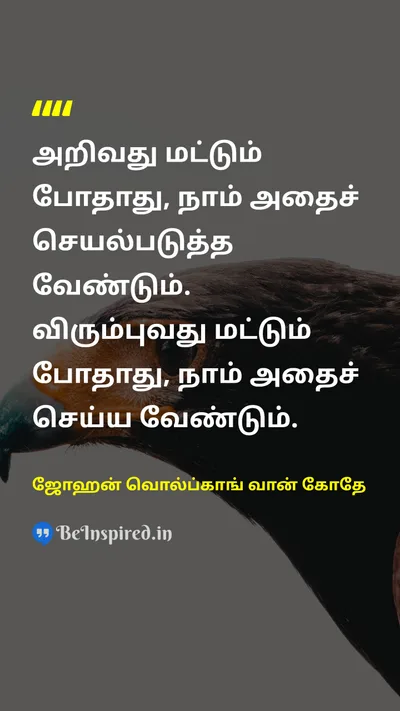 Johann Wolfgang von Goethe Tamil Picture Quote on actionசெயல் disciplineஒழுக்கம் successவெற்றி 