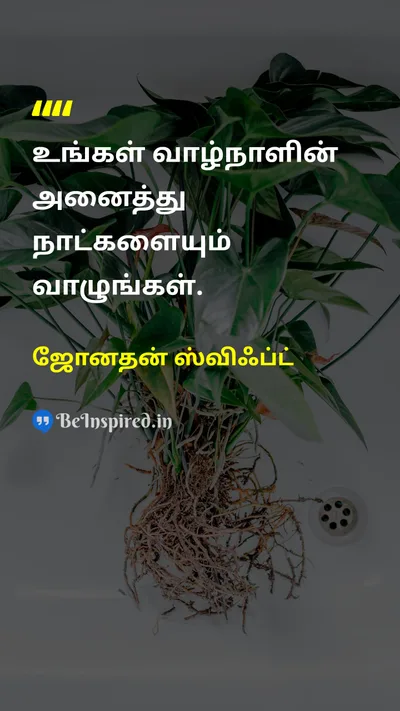 ஜோனதன் ஸ்விஃப்ட் Tamil Picture Quote on lifeவாழ்க்கை happinessமகிழ்ச்சி gratitudeநன்றியுணர்வு 
