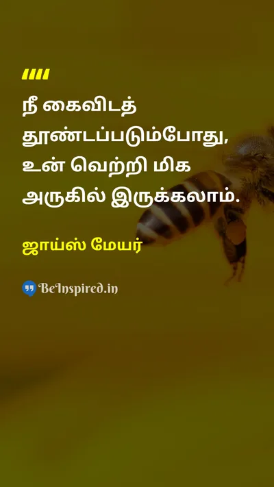 ஜாய்ஸ் மேயர் Tamil Picture Quote on hopeநம்பிக்கை patienceபொறுமை successவெற்றி 
