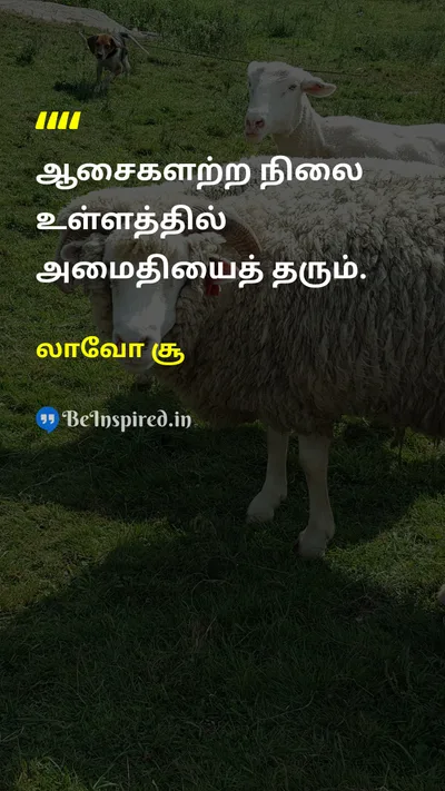 லாவோ சூ Tamil Picture Quote on peaceஅமைதி happinessமகிழ்ச்சி freedomசுதந்திரம் 