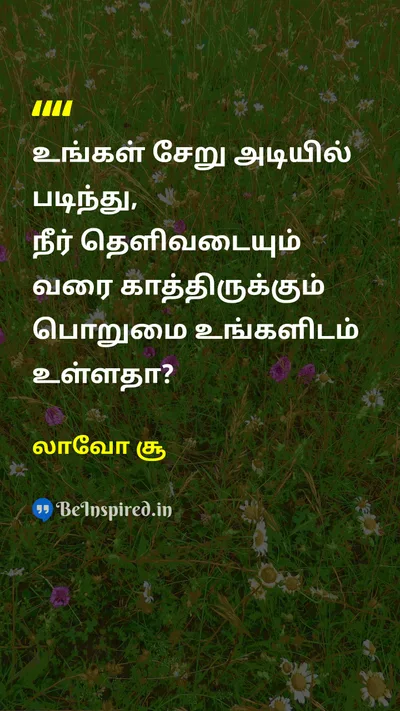 லாவோ சூ Tamil Picture Quote on patienceபொறுமை wisdomஞானம் clarityதெளிவு 