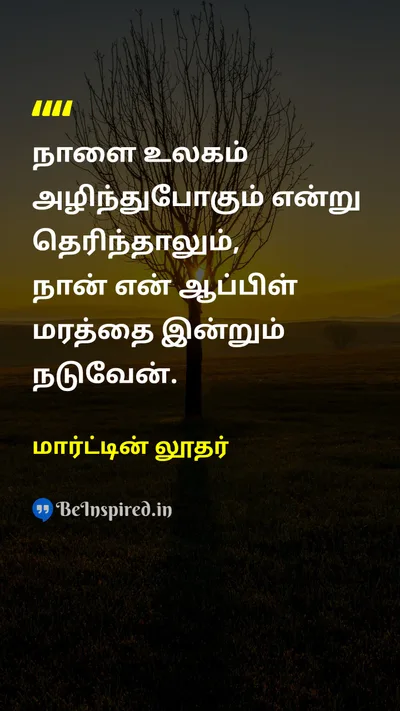 மார்ட்டின் லூதர் Tamil Picture Quote on hopeநம்பிக்கை actionசெயல் perseveranceவிடாமுயற்சி futureஎதிர்காலம் 