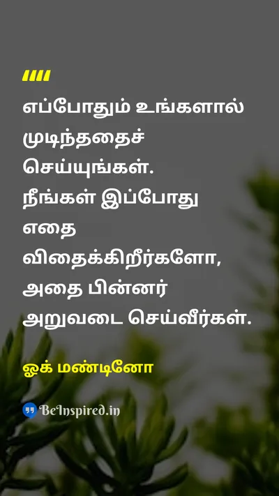 ஓக் மண்டினோ Tamil Picture Quote on plantதாவரம் harvestஅறுவடை motivationalதன்னம்பிக்கை 