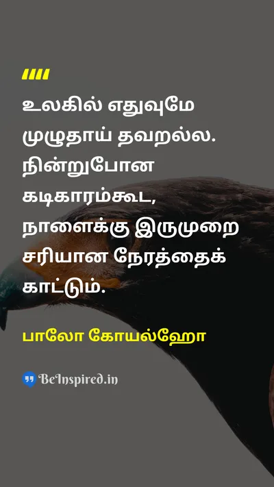 பாலோ கோயல்ஹோ Tamil Picture Quote on lifeவாழ்க்கை wisdomஞானம் 