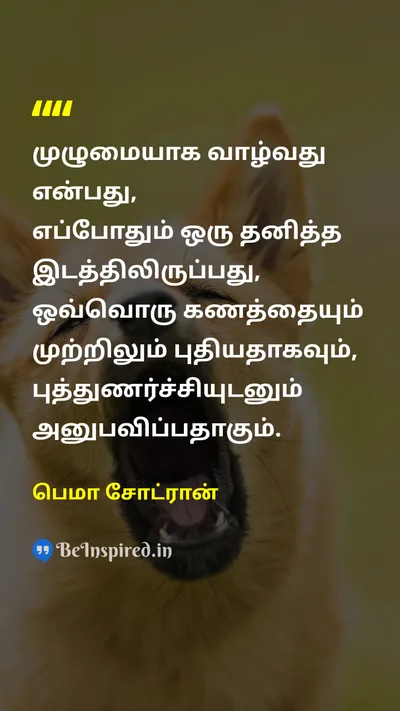பெமா சோட்ரான் Tamil Picture Quote on lifeவாழ்க்கை mindமனம் experienceஅனுபவம் 