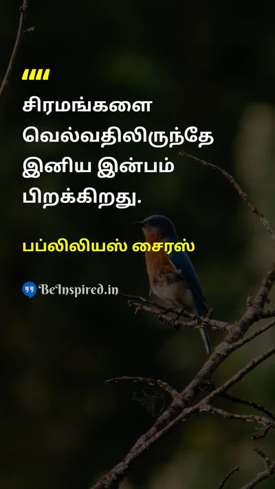 Publilius Syrus Tamil Picture Quote on happinessமகிழ்ச்சி successவெற்றி challengesசவால்கள் 