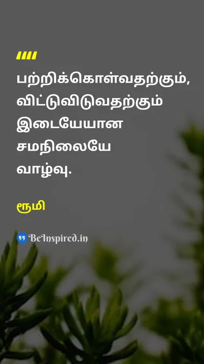 ரூமி Tamil Picture Quote on lifeவாழ்க்கை balanceசமநிலை wisdomஞானம் 
