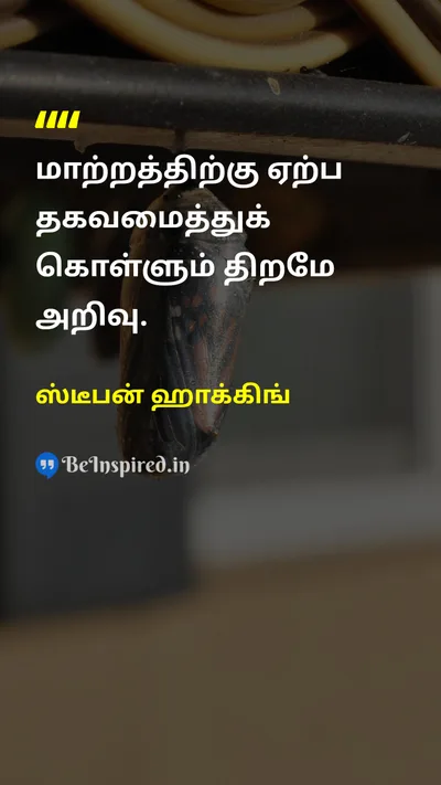 Stephen Hawking Tamil Picture Quote on changeமாற்றம் talentதிறமை knowledgeஅறிவு 