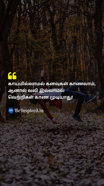 Unknown Tamil Picture Quote on pain dream injury motivational வலி கனவு காயம் தன்னம்பிக்கை 