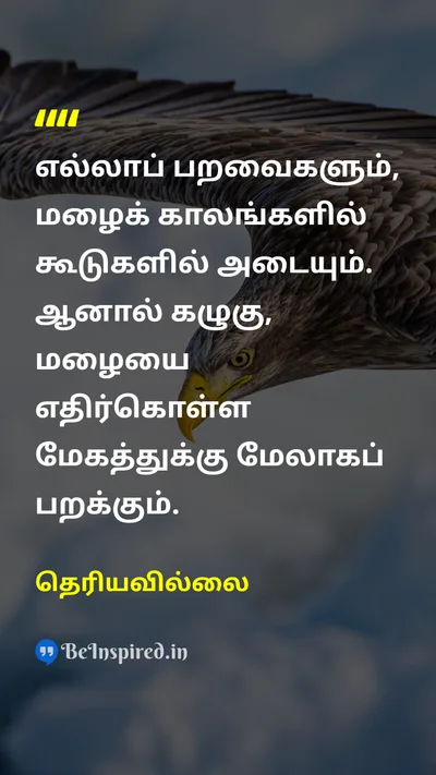 Unknown Tamil Picture Quote on birdபறவை eagleகழுகு rainமழை cloudமேகம் 