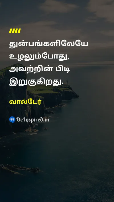 வால்டேர் Tamil Picture Quote on lifeவாழ்க்கை patienceபொறுமை happinessமகிழ்ச்சி wisdomஞானம் 