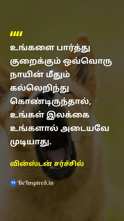 Winston Churchill Tamil Picture Quote on dogநாய் stoneகல் goalஇலக்கு 