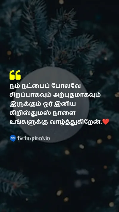 Christmas Wishes Quote related to special, wonderful, friendship, love, laughter