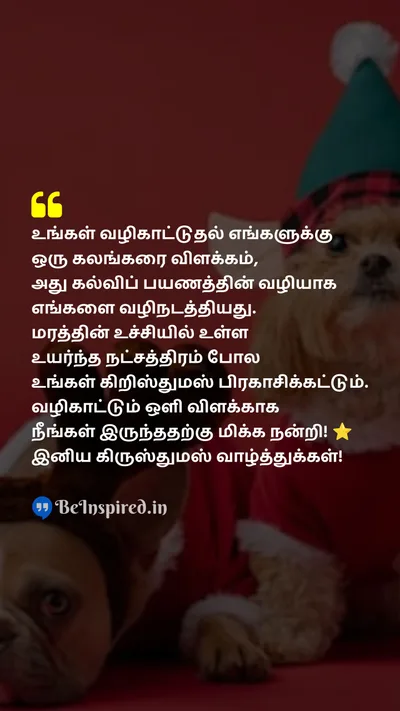 Christmas Wishes Quote related to teacher, guidance, north star, academic journey, shining, guiding light