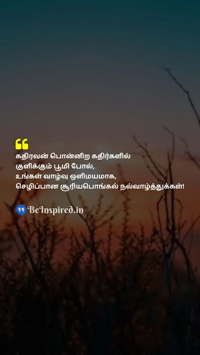 Pongal Wishes Quote related to 