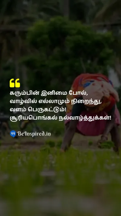 Pongal Wishes Quote related to 