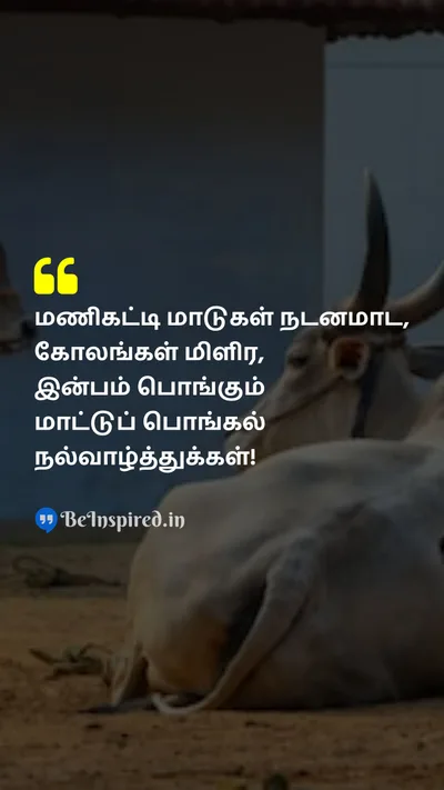 Pongal Wishes Quote related to 