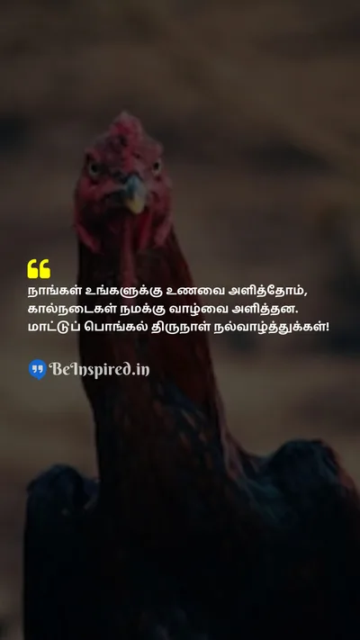 Pongal Wishes Quote related to 