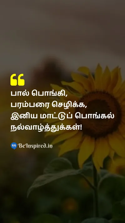 Pongal Wishes Quote related to 